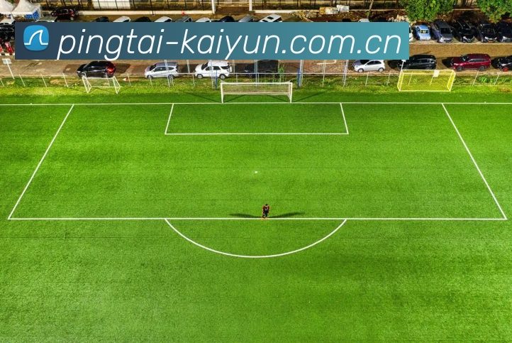 开云平台平台生态图